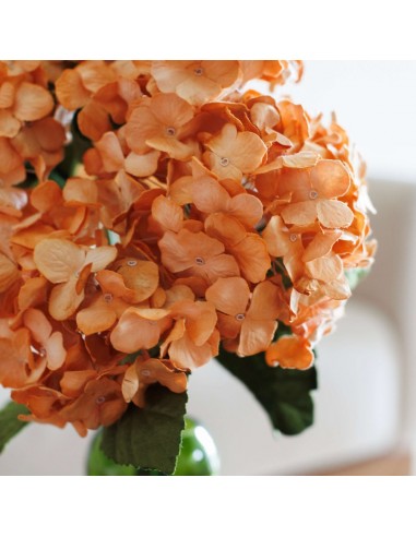 Hortensia en papier orange clair Véritable concentré