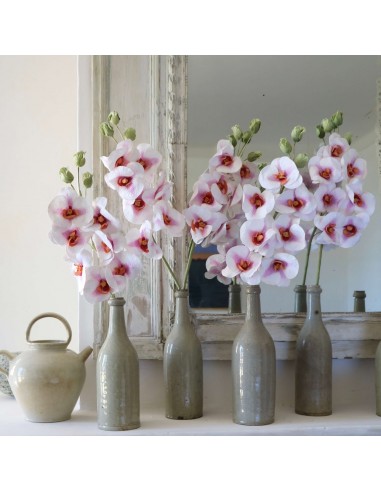 Orchidée papillon en papier rose et blanc hantent personnes