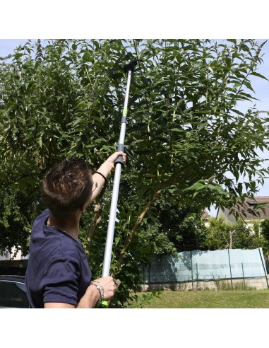 Coupe-branche avec manche télescopique - Livraison Offerte livraison gratuite