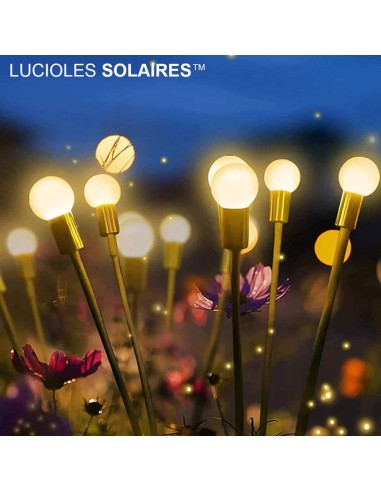 LUCIOLES SOLAIRES™ pas cheres