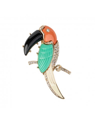 Multi Color Toucan Pin du meilleur 