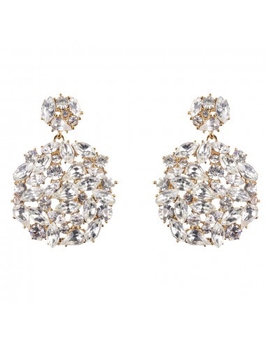 Gold and Rhinestone Drop Earring les ctes