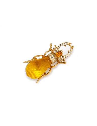 Topaz Scarab Beetle Pin une grave pollution 