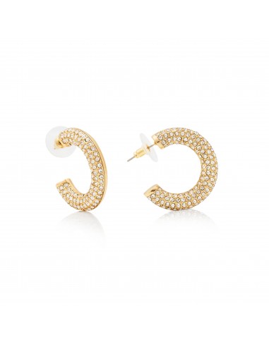 Polished Gold & Crystal Hoop Post Earring 2023