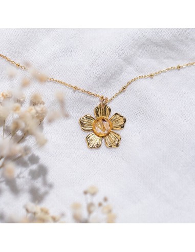 Collier Daisy Comparez et commandez 