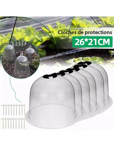 Cloches de protection pour plantes et salades - Livraison offerte une grave pollution 