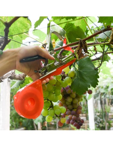 Machine à attacher les branches des plantes - Livraison offerte meilleur choix