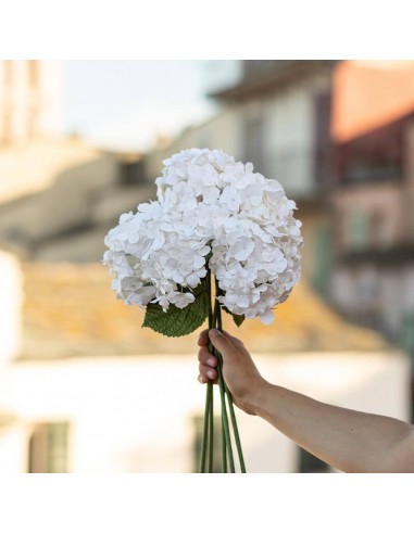 Hortensia en papier blanc de votre