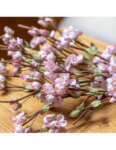 Fleurs de cerisier en papier rose les muscles